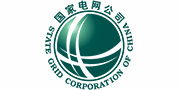国家电网