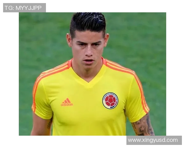 j罗与厄齐尔谁才是足球场上的艺术大师对决解析与精彩瞬间回顾